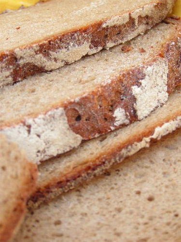 ���� �� ����� ��� 2014